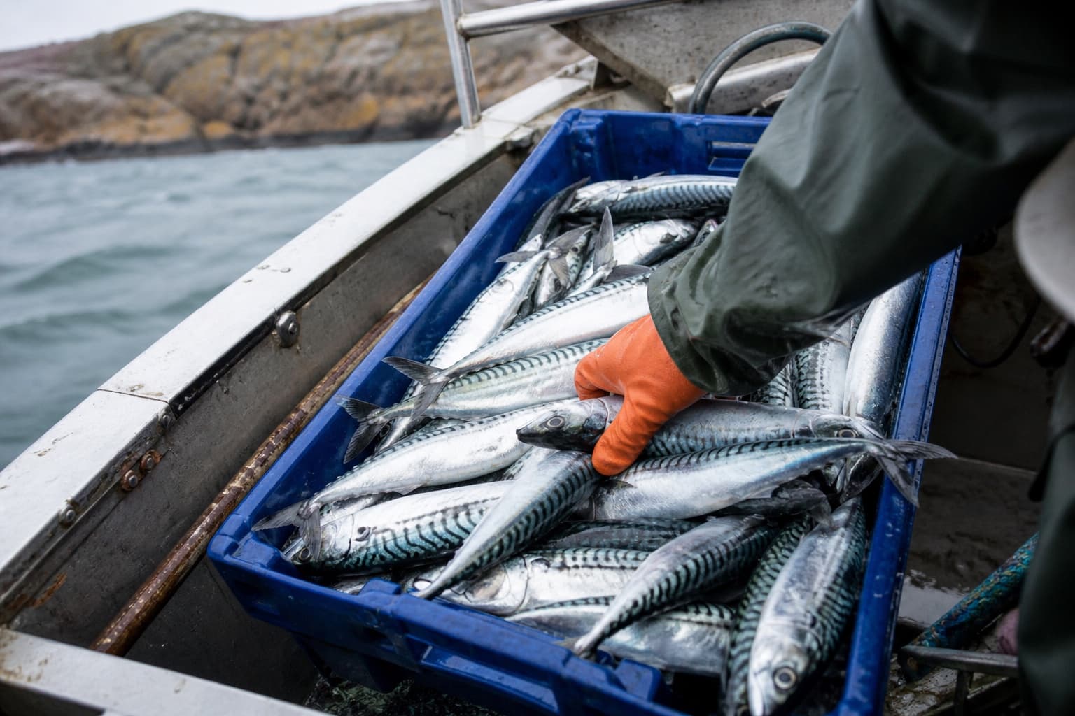 Fångst och fiske med Mareld